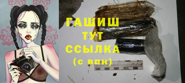 хмурый Свободный