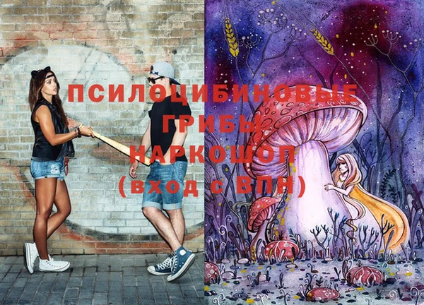 твердый Лабытнанги