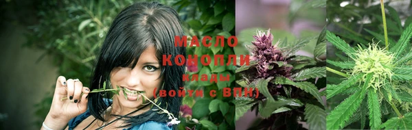 крисы Липки