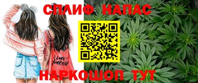 Альфа ПВП Лесосибирск