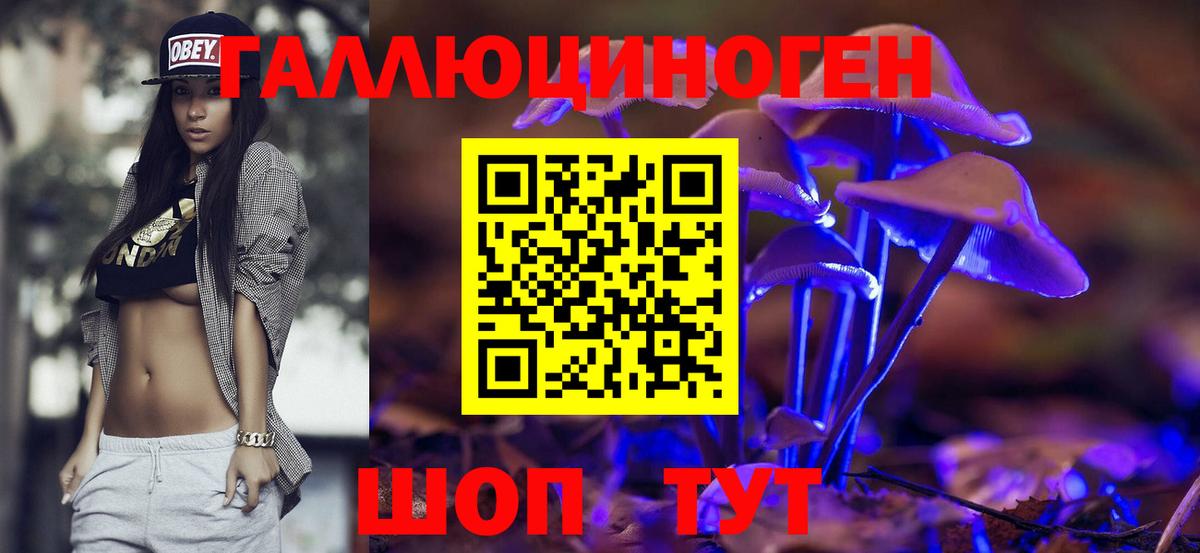 Тейково  Галлюциногенные грибы GOLDEN TEACHER  что такое   Псилоцибиновые грибы Psilocybine cubensis  Вход с VPN 